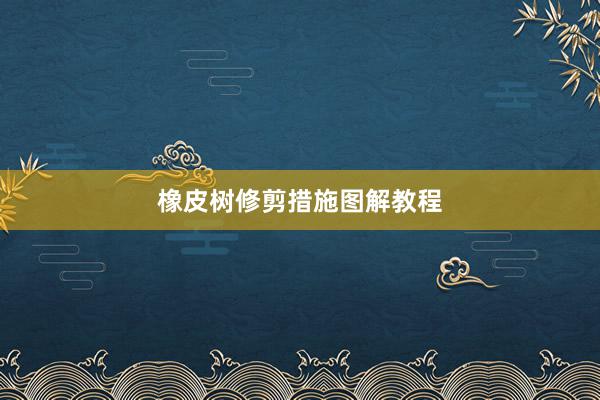 橡皮树修剪措施图解教程