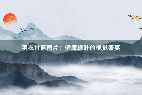 羽衣甘蓝图片：健康绿叶的视觉盛宴